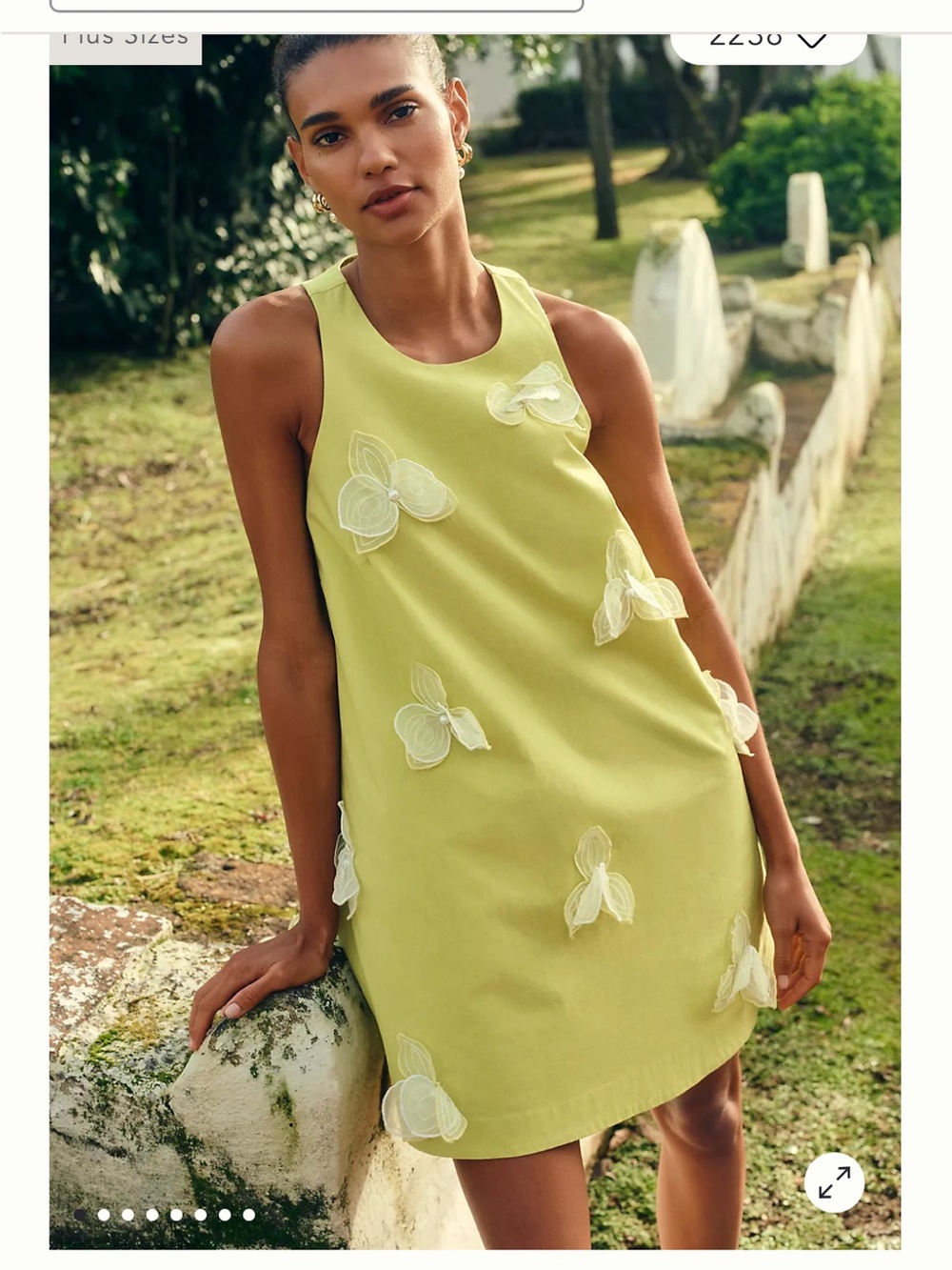 Anthropologie Maeve 3D Swing Dress